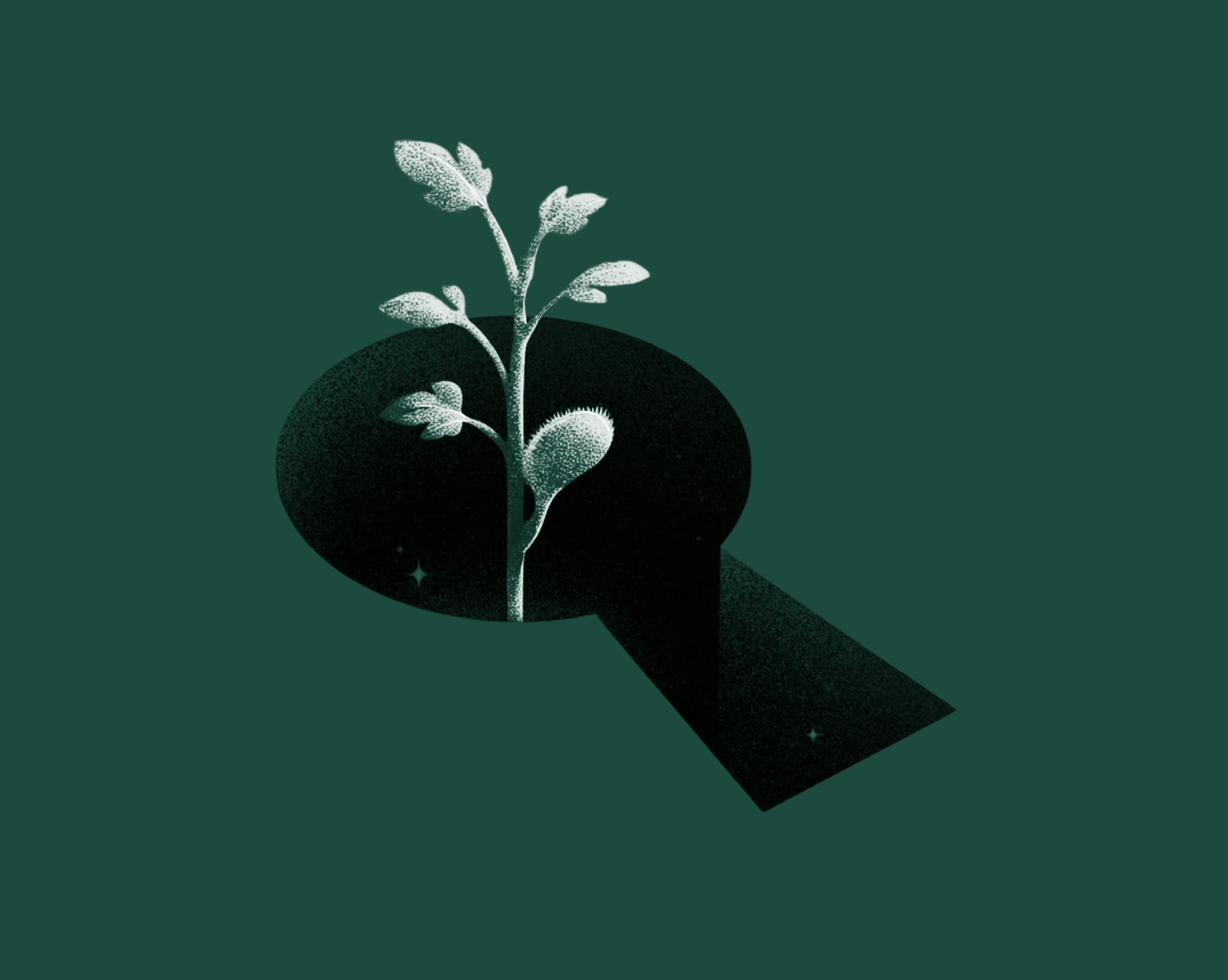 The Password You Mean — keyhole with a growing plant